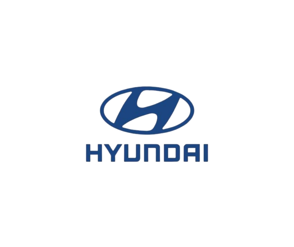 amortiguador de la puerta posterior hyundai tucson - unidad