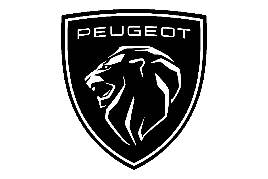 FILTRO ELEMENTO ACEITE PEUGEOT BOXER III 2006 PARTMER 00 - unidad