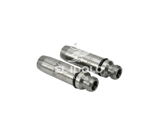 [601050] GUIA VALVULA ESC +0.20 PARA VASTAGO G23 - UNIDAD