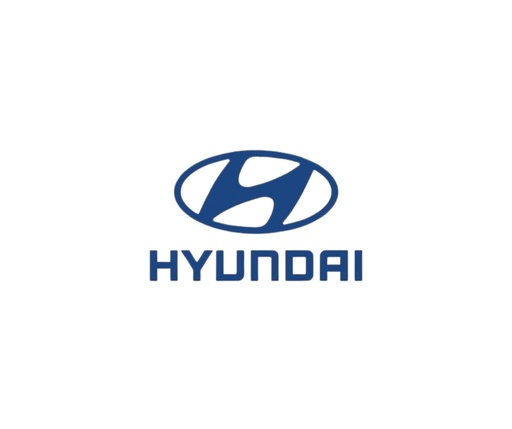 [hy-020] amortiguador de la puerta posterior hyundai tucson - unidad