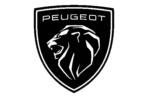 [1109.X3] FILTRO ELEMENTO ACEITE PEUGEOT BOXER III 2006 PARTMER 00 - unidad